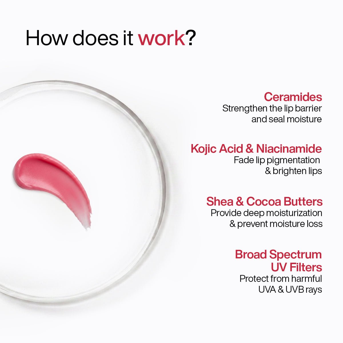 WishCare Tinted Ceramide Lip Balm (SPF 50+ PA++++) - Image 3